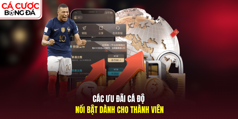 Các ưu đãi cá độ nổi bật dành cho thành viên