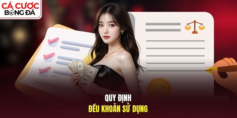 Quy định điều khoản sử dụng