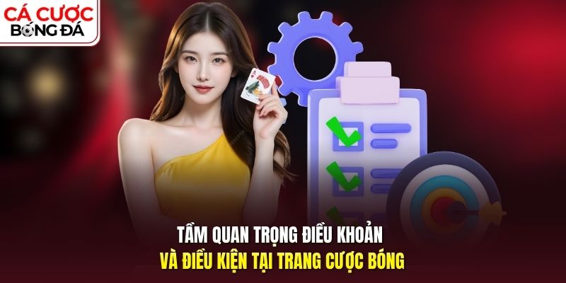 Tầm quan trọng điều khoản và điều kiện tại trang cược bóng
