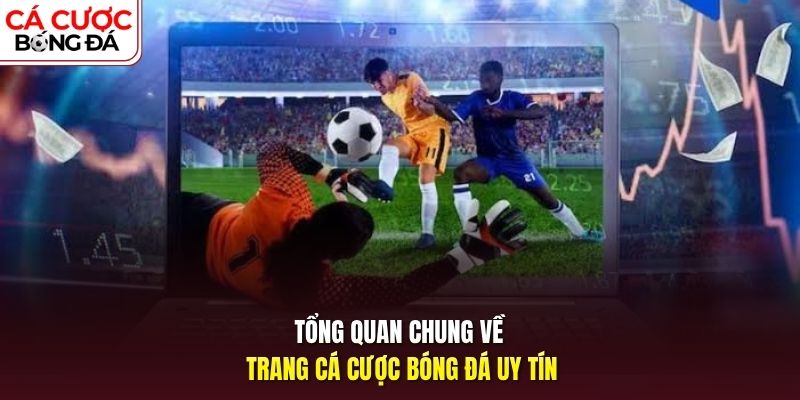 Tổng quan chung về trang cá cược bóng đá uy tín